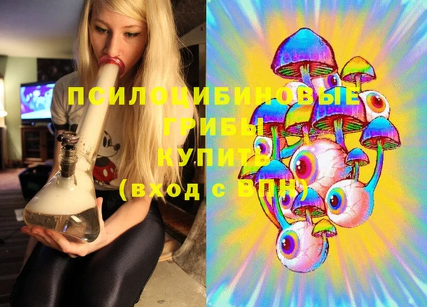 дживик Сосновый Бор