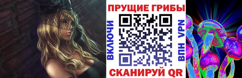 Галлюциногенные грибы прущие грибы Павловский Посад